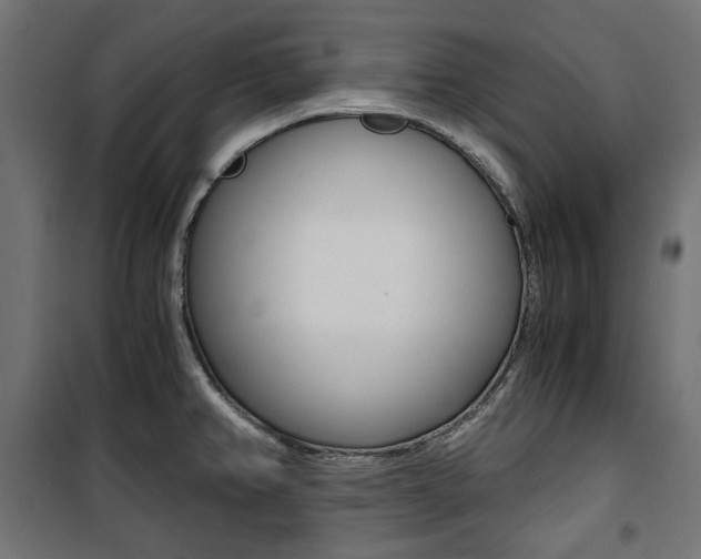 X0000100881382200806201137