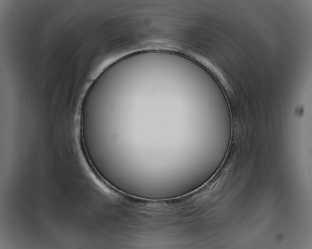 X0000100881383200806201137