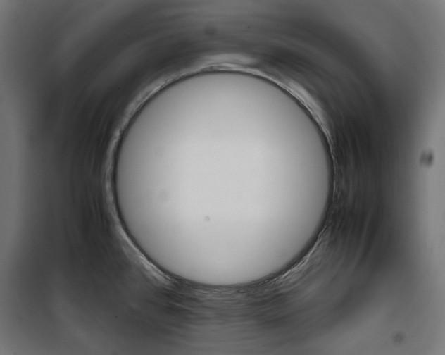 X0000100881384200806201137