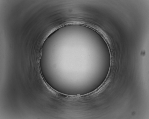 X0000100881385200806201137