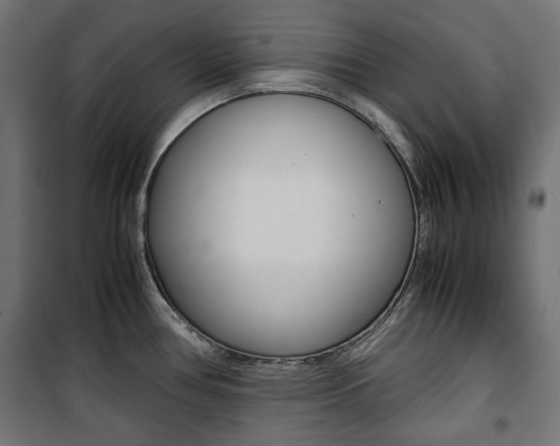 X0000100881386200806201137