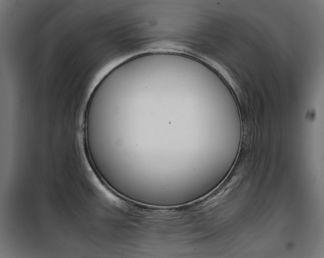 X0000100881387200806201137