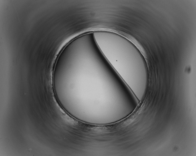 X0000100881388200806201137