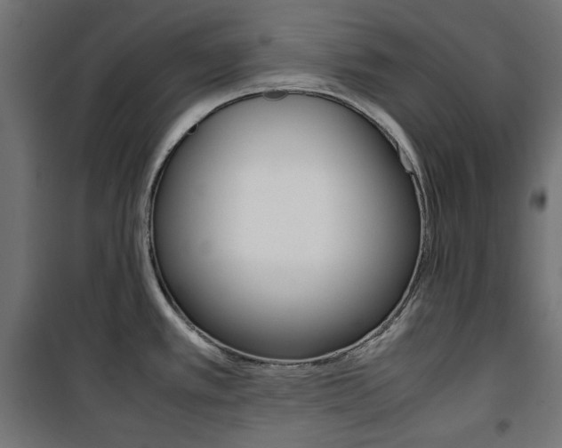 X0000100881389200806201137