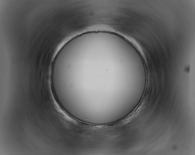 X0000100881390200806201137