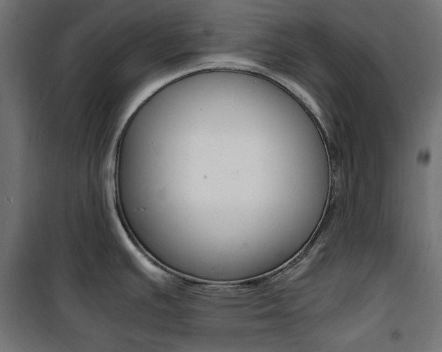 X0000100881391200806201137
