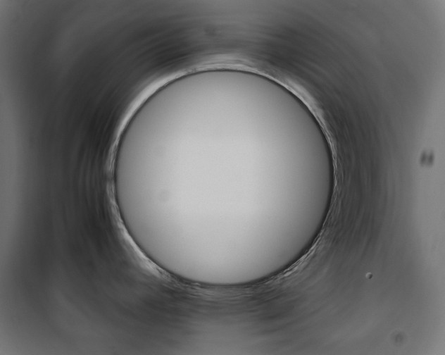 X0000100881392200806201137