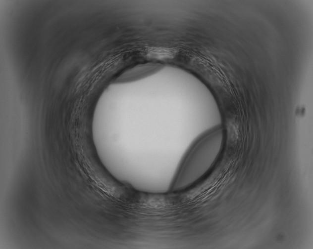 X0000100881393200806201136