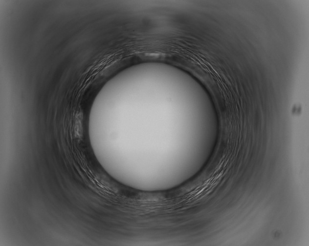 X0000100881394200806201136