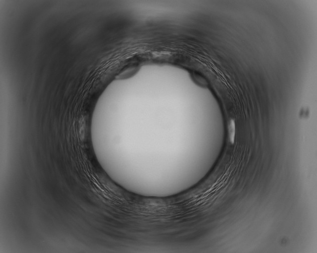 X0000100881395200806201136