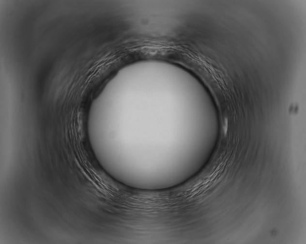 X0000100881396200806201136