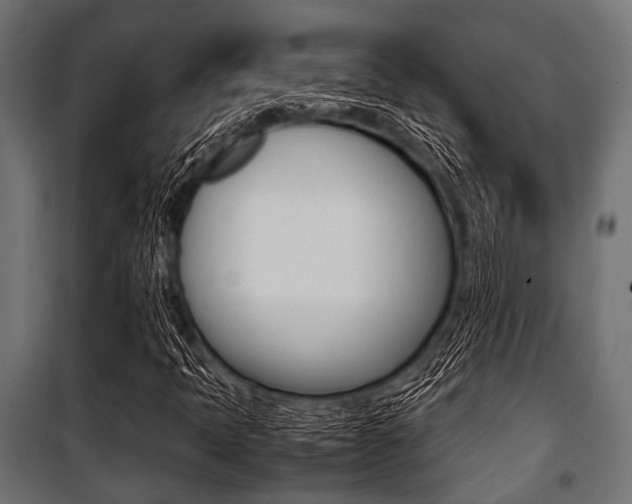 X0000100881397200806201136