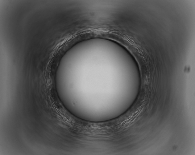 X0000100881398200806201136