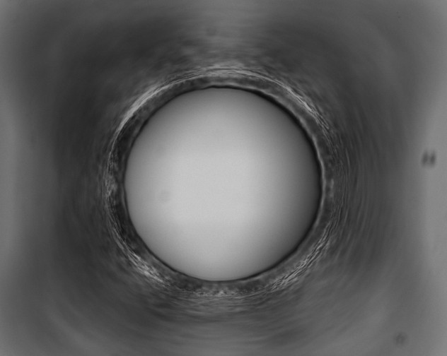 X0000100881400200806201136
