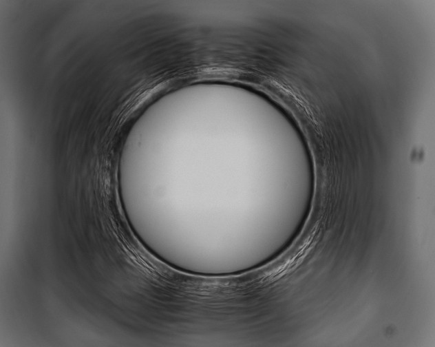 X0000100881401200806201136