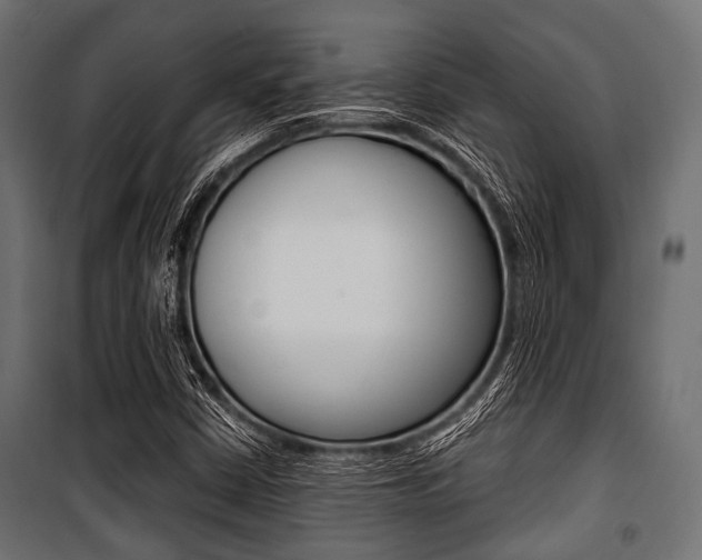 X0000100881402200806201136