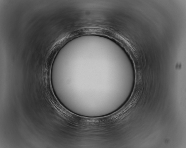 X0000100881403200806201136