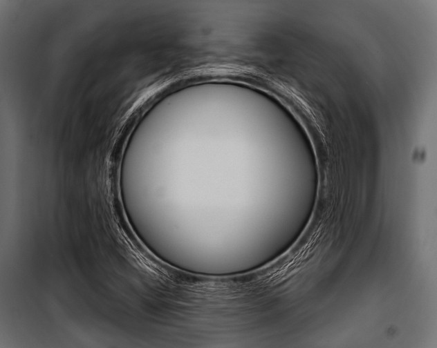 X0000100881404200806201136