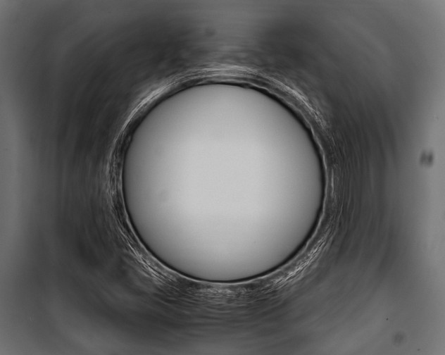 X0000100881405200806201136