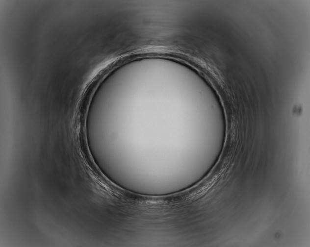 X0000100881406200806201136