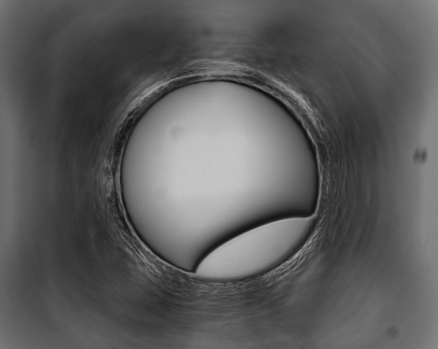 X0000100881407200806201136