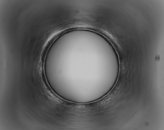 X0000100881408200806201136