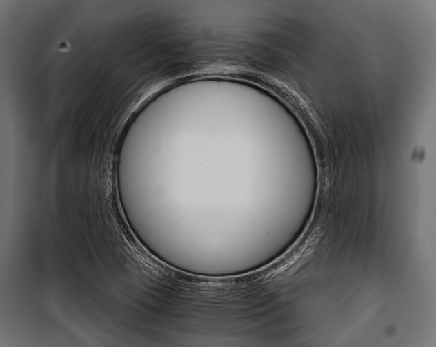 X0000100881409200806201136