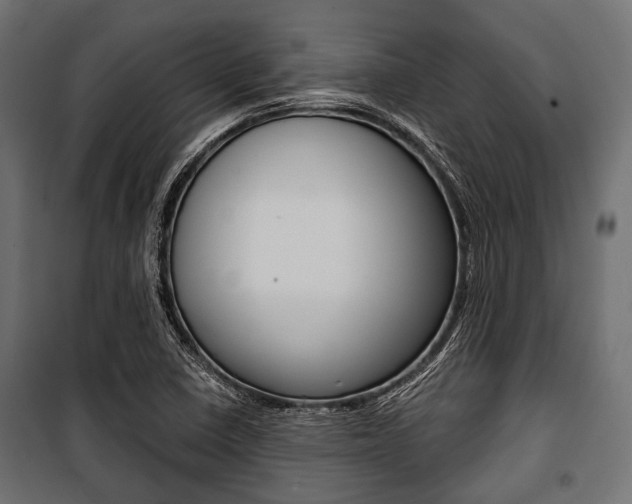 X0000100881410200806201136