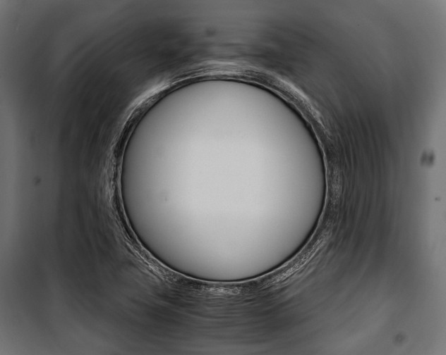 X0000100881411200806201136