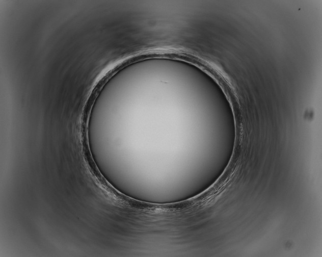 X0000100881412200806201136