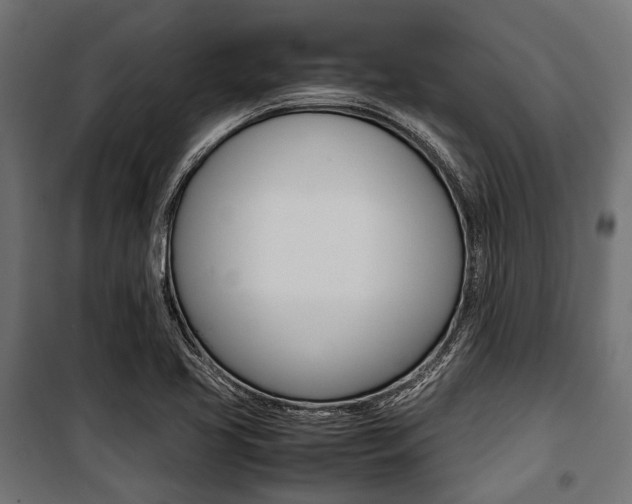 X0000100881413200806201136