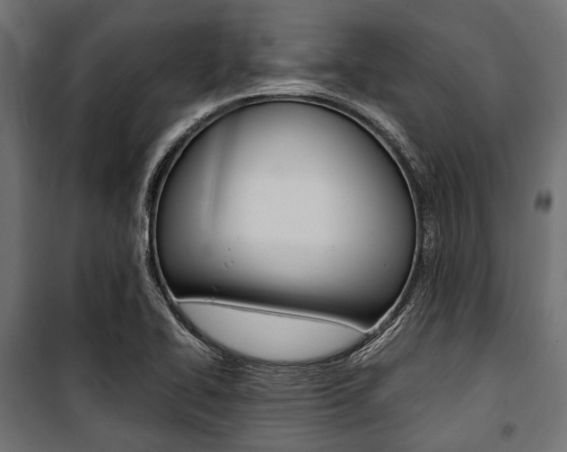 X0000100881414200806201136