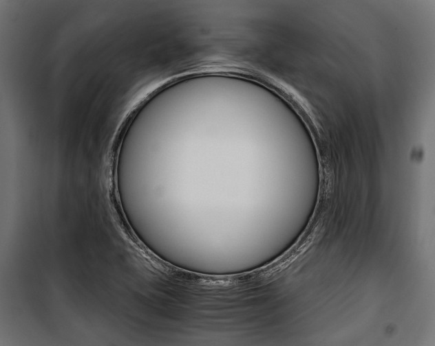 X0000100881415200806201136