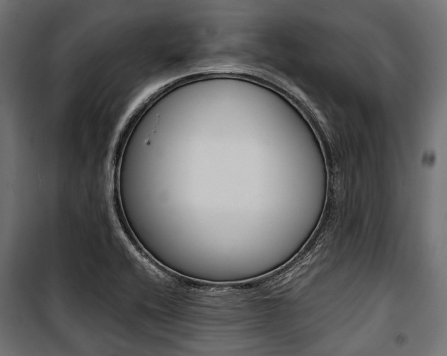 X0000100881416200806201136