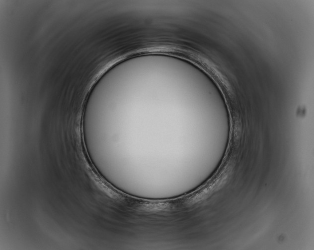 X0000100881417200806201136