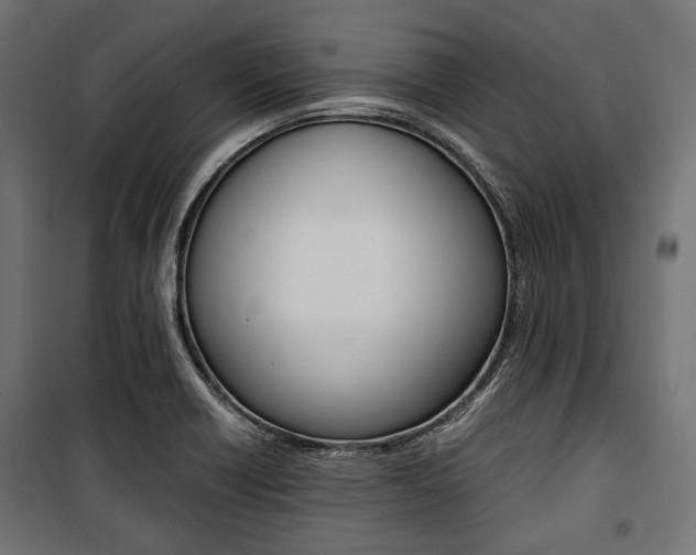X0000100881418200806201136