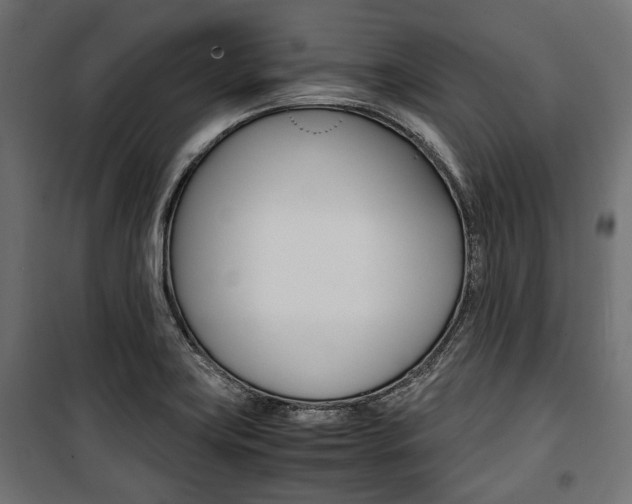 X0000100881419200806201136