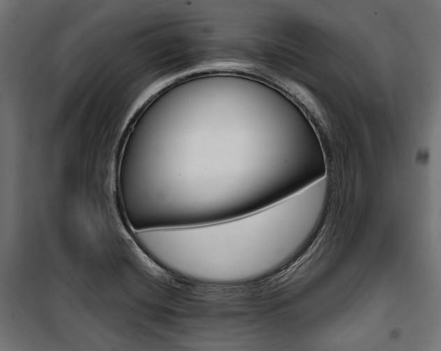 X0000100881420200806201136