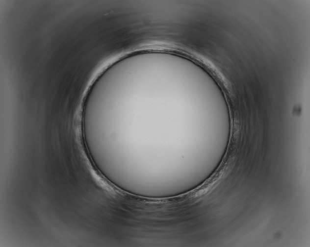 X0000100881421200806201136