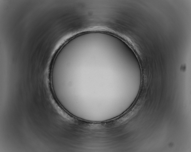 X0000100881422200806201136