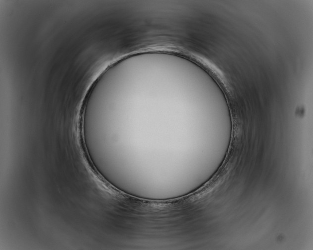X0000100881423200806201136