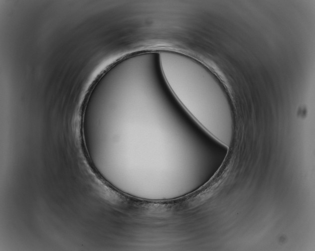 X0000100881424200806201136