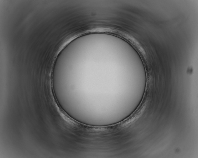 X0000100881425200806201136