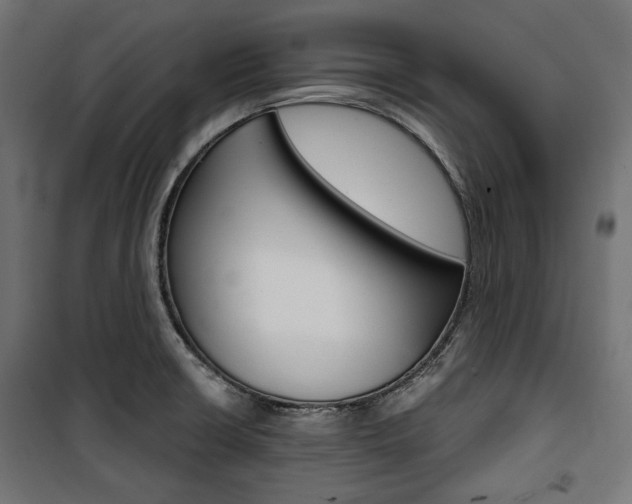 X0000100881426200806201136