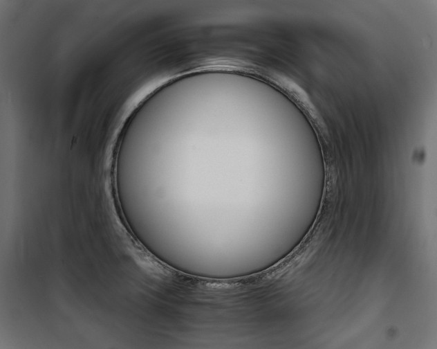 X0000100881427200806201136
