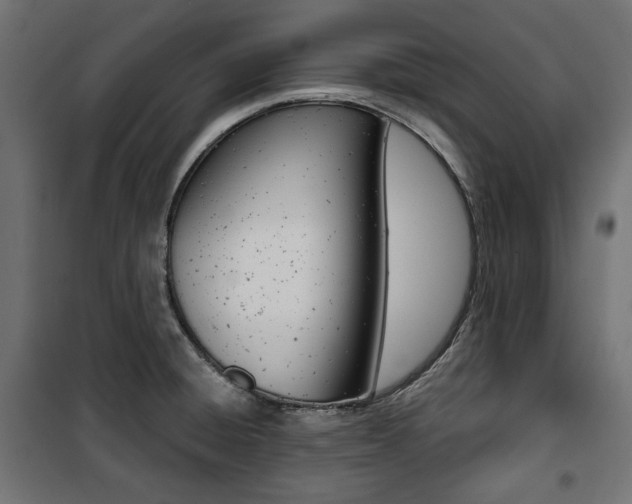 X0000100881428200806201136