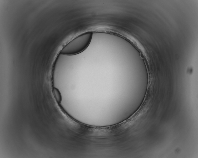 X0000100881429200806201136