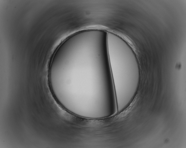 X0000100881430200806201136