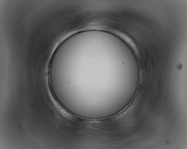 X0000100881431200806201136