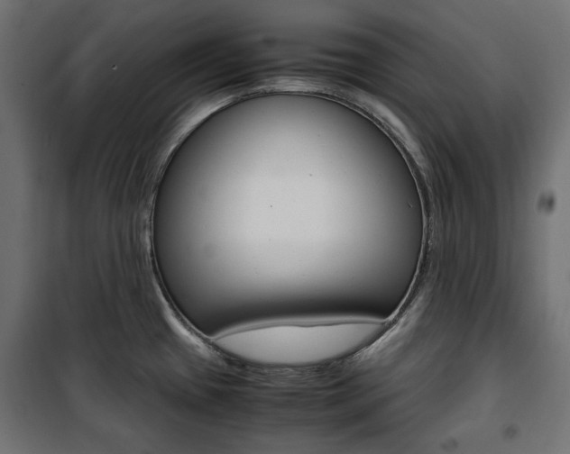 X0000100881433200806201136